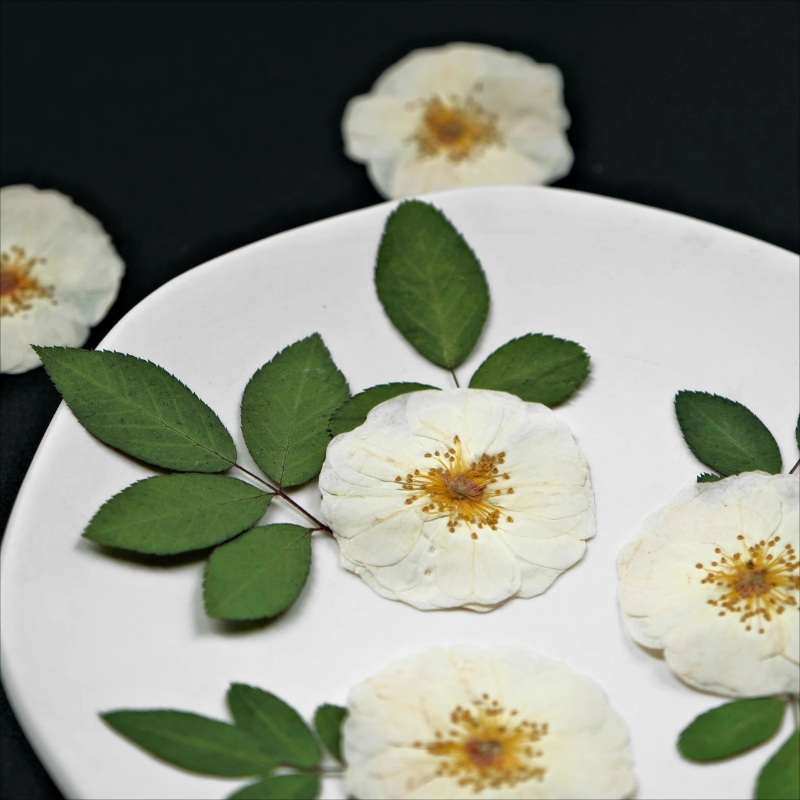 6 adet, 9 adet, Doğal Beyaz Gü - Resin Art Epoxy incelemesi ve fiyatı